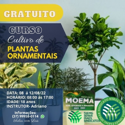 Curso Gratuito - Cultivo de Plantas Ornamentais